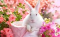 Springtime Bunny in Pink Flowers Painting from Photos to Art